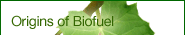 Origins of Biofuel