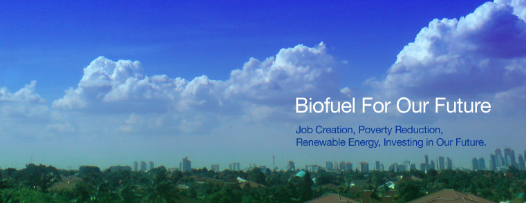 Biofuel For Our Future - Job creation, poverty reduction, renewable energy, investing in our future.